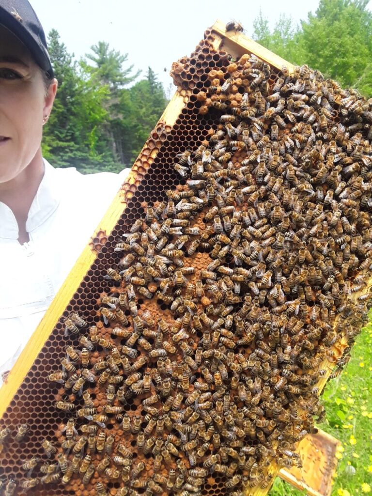 20230611 131342 768x1024