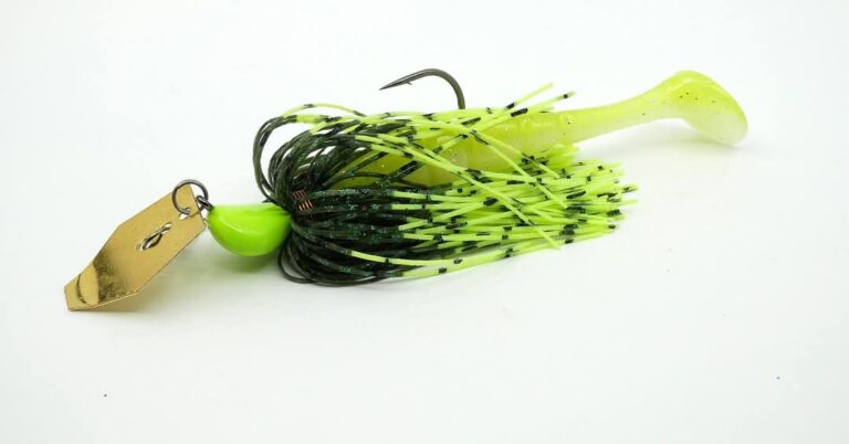 FB IMG 1745406825418 768x402