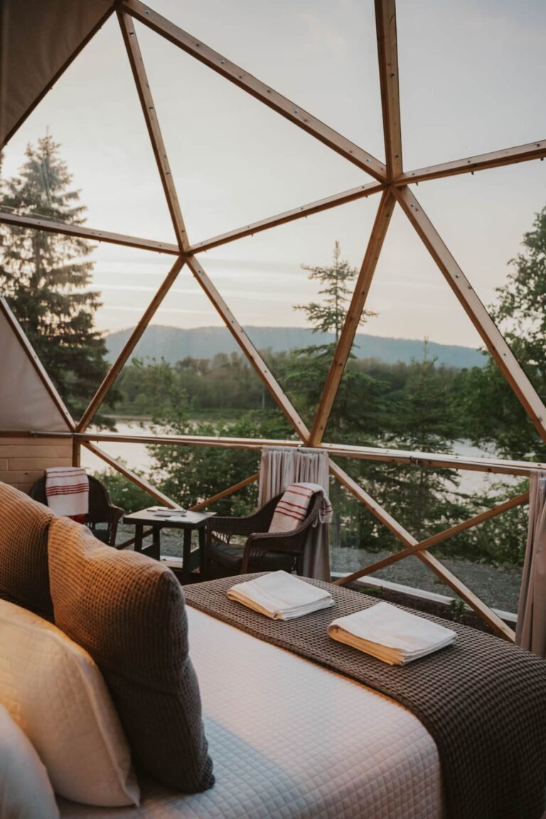 2d8db014 6efc 496e b0a3 27afe4509d89 768x1152