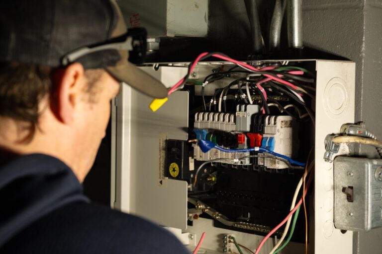 DSCF0005 Large 768x512