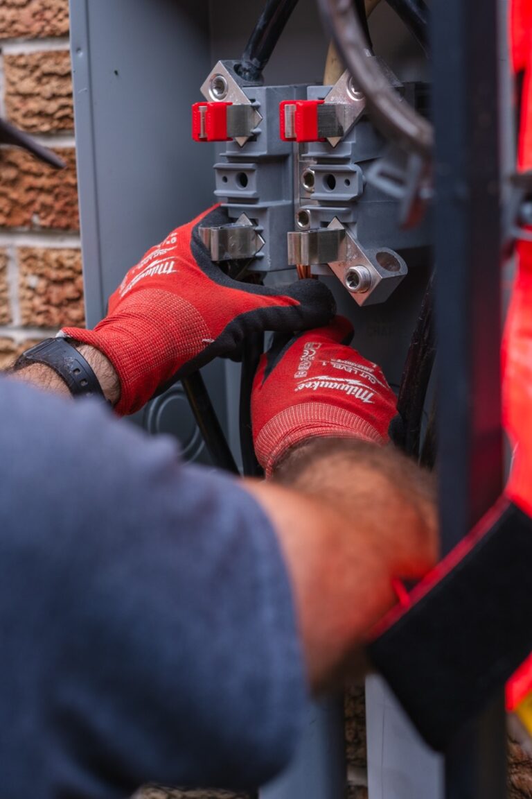 DSCF0299 Large 768x1152