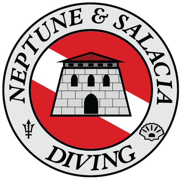 NSD Official Logo 2024 1000 pix 768x768