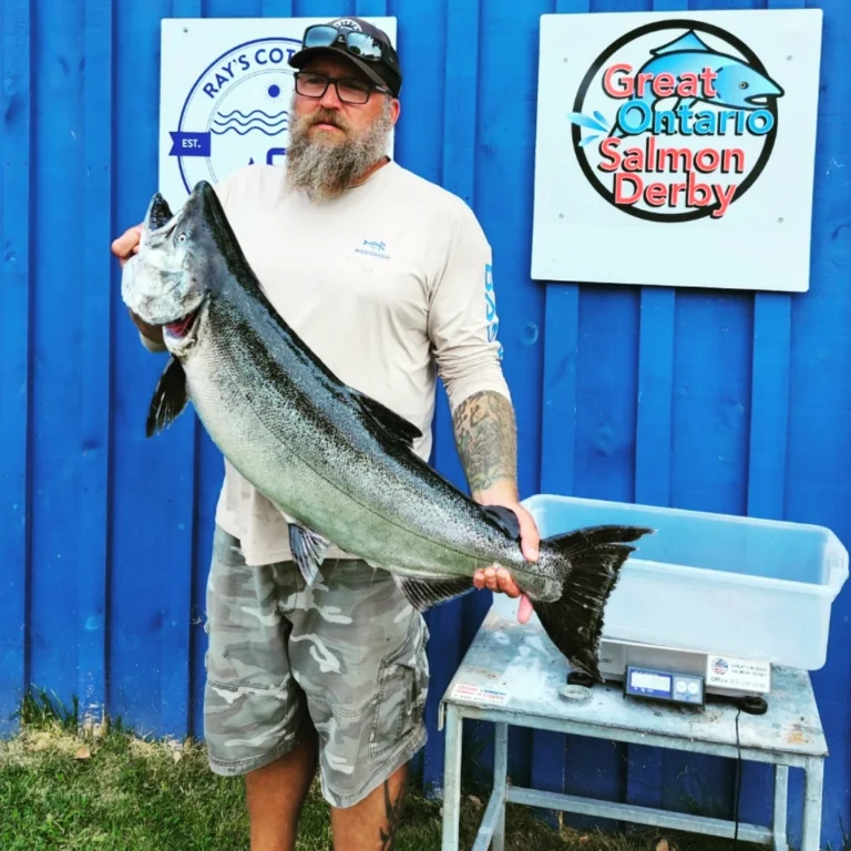 IMG 20240727 134944 806 768x768