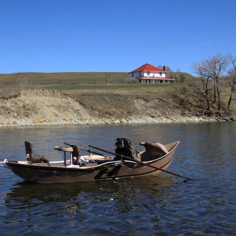 IMG 1050 768x768