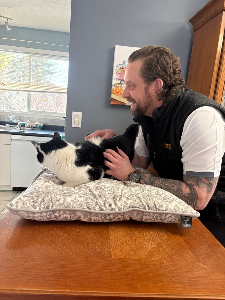 chiro cat