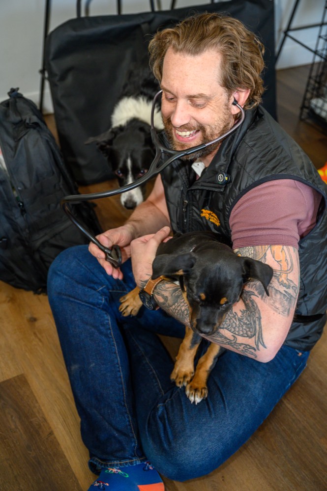 ryan puppy